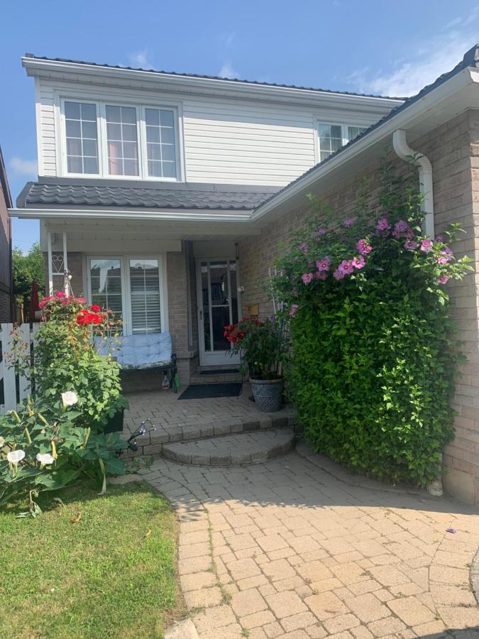 Big Oasis Studio Near Airport Yyz Hotel Toronto Exterior photo